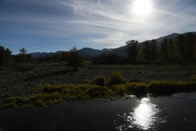 DSC_6527 (Large).JPG